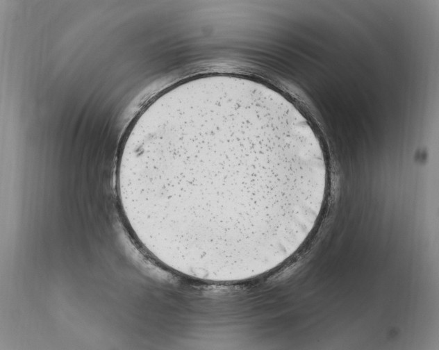 X0000110950938200907311038