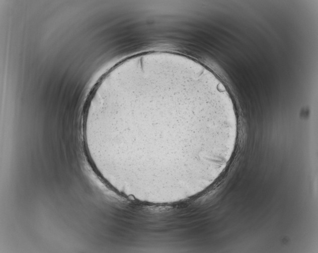 X0000110950939200907311038