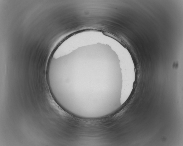 X0000110950940200907311038