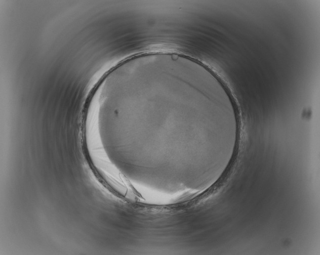 X0000110950941200907311038
