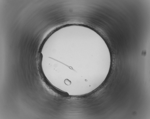 X0000110950942200907311038