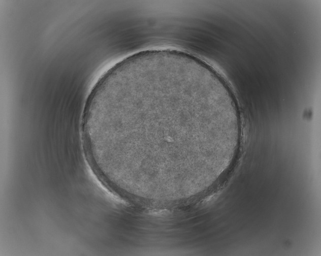 X0000110950943200907311038