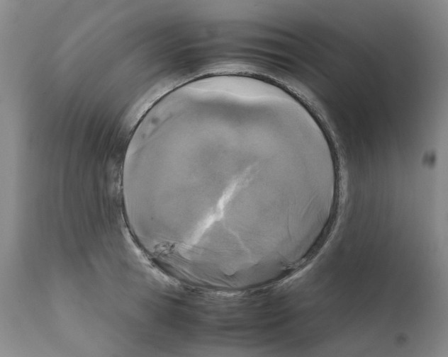 X0000110950945200907311038