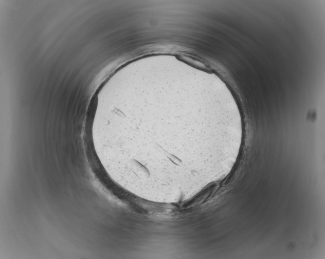 X0000110950946200907311038