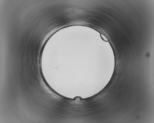 X0000110950947200907311038