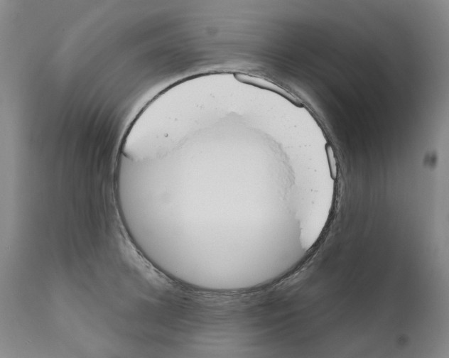 X0000110950948200907311038