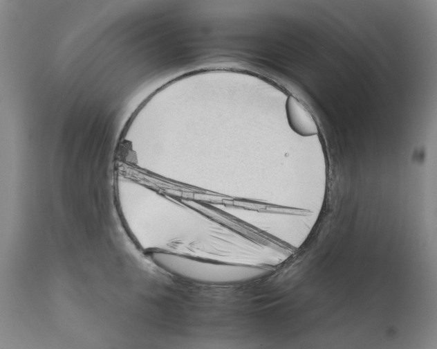 X0000110950951200907311038