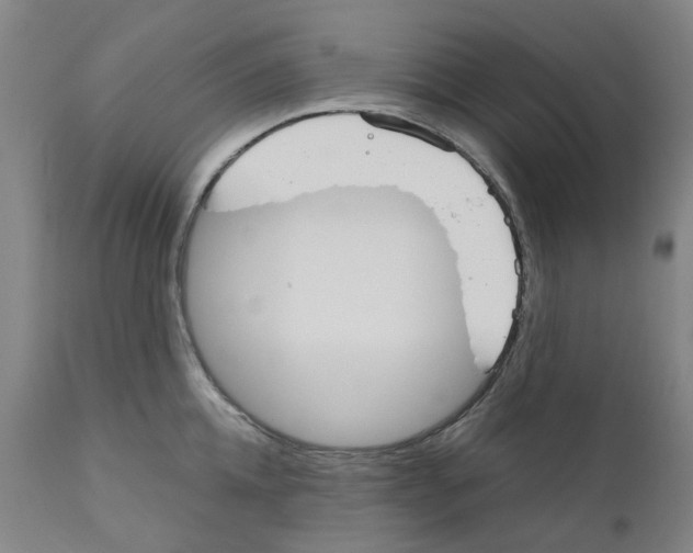 X0000110950952200907311038