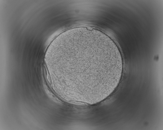 X0000110950954200907311038