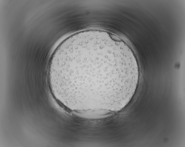 X0000110950955200907311038