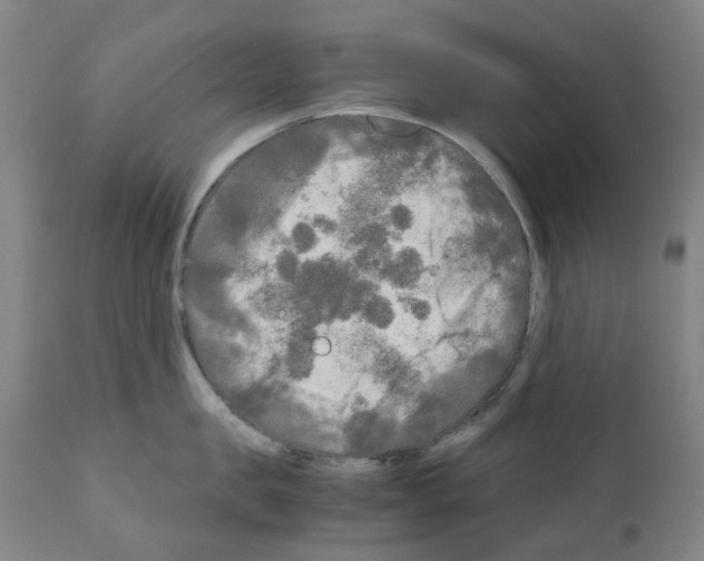 X0000110950957200907311038