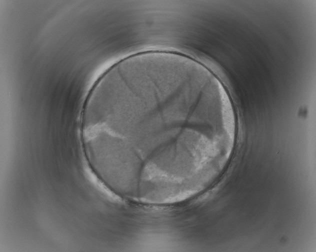 X0000110950958200907311038