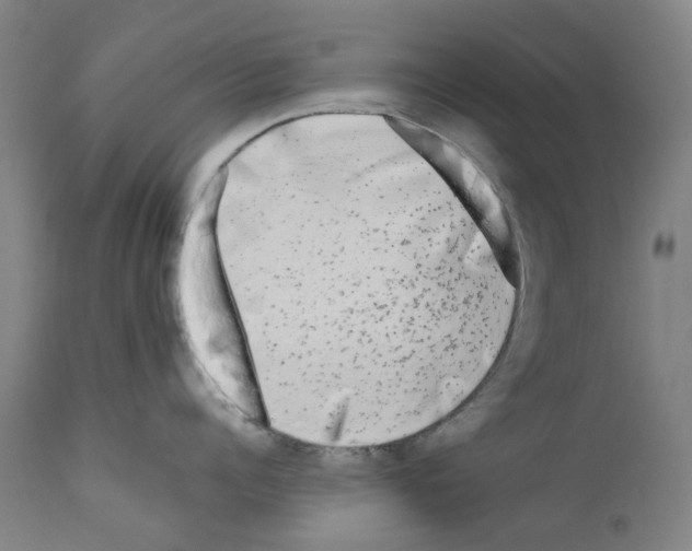 X0000110950960200907311038