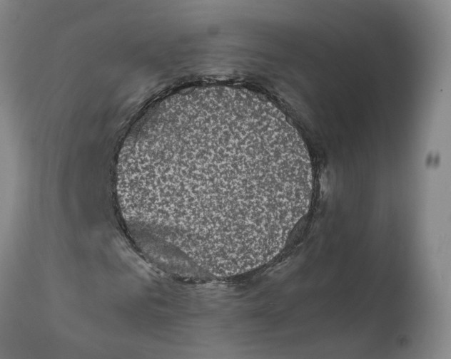 X0000110950961200907311037