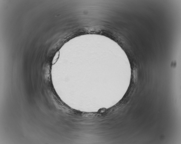 X0000110950963200907311037