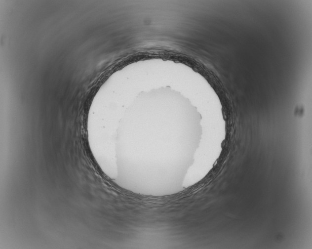 X0000110950965200907311037
