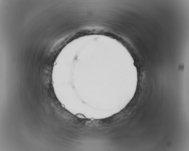 X0000110950967200907311037