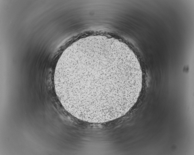 X0000110950968200907311037