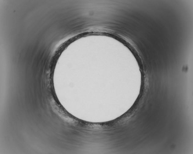 X0000110950971200907311037