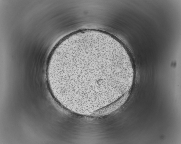 X0000110950976200907311037