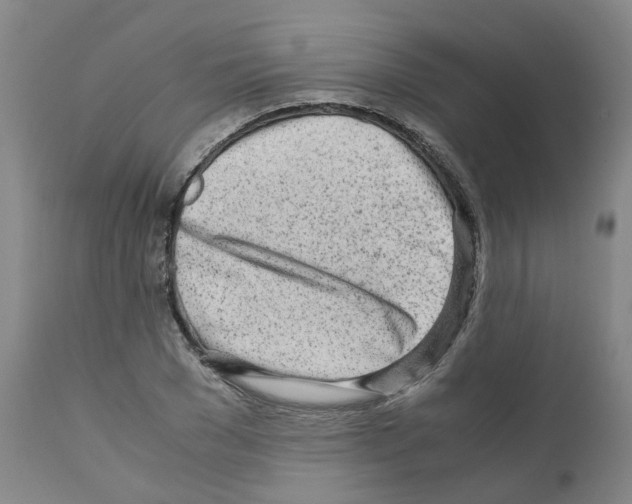 X0000110950977200907311037