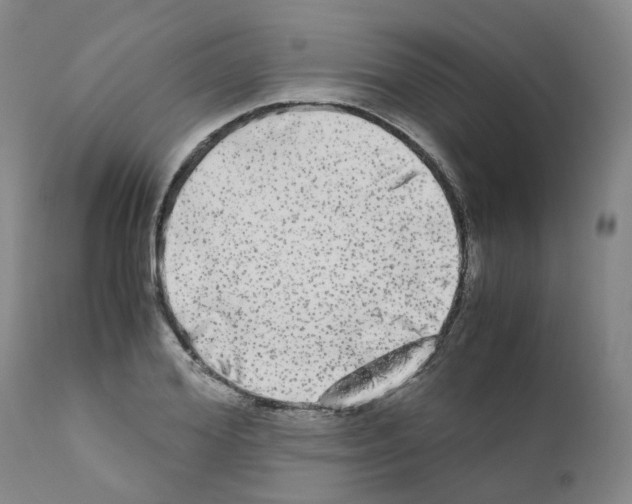 X0000110950980200907311037