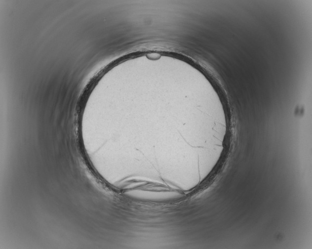 X0000110950981200907311037