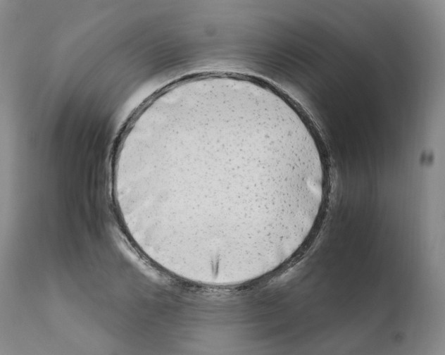 X0000110950982200907311037