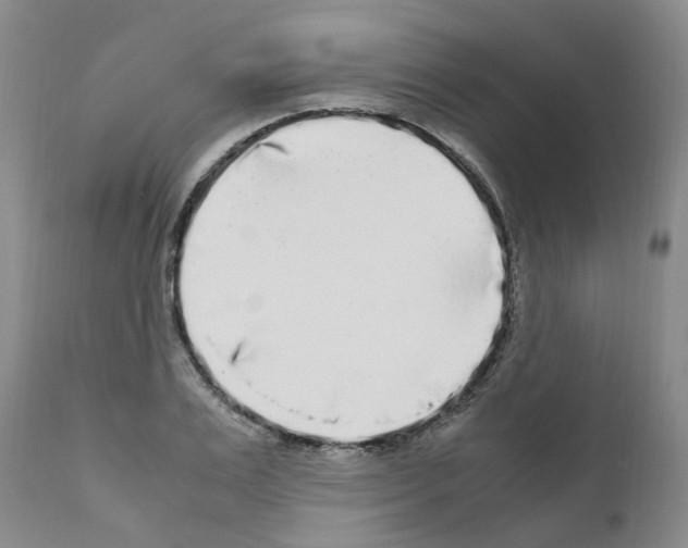 X0000110950983200907311037