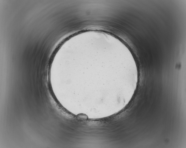 X0000110950984200907311037