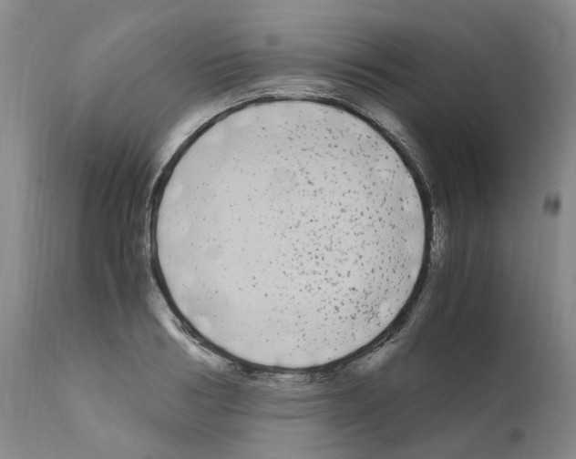 X0000110950986200907311037