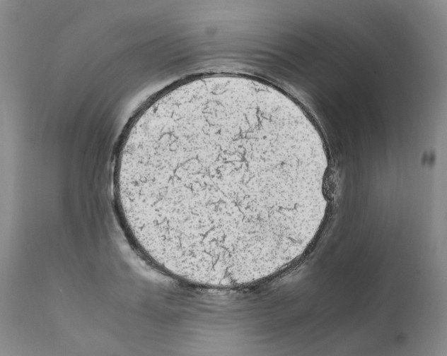 X0000110950987200907311037