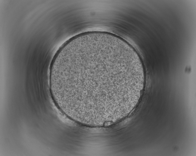 X0000110950988200907311037