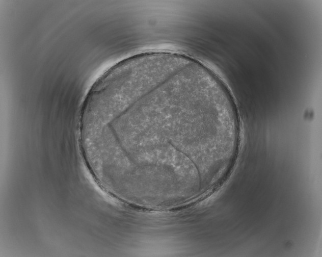 X0000110950989200907311037