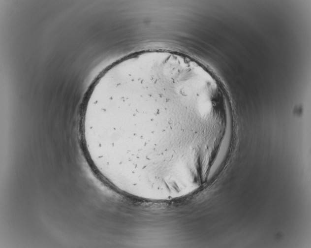 X0000110950991200907311037