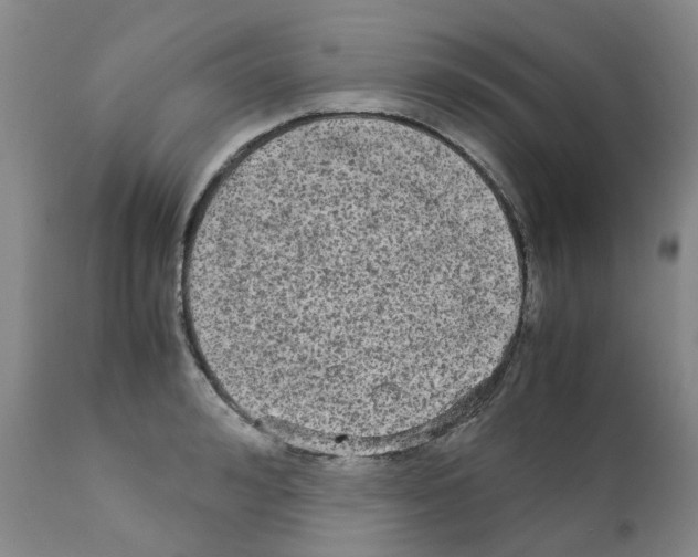 X0000110950992200907311037
