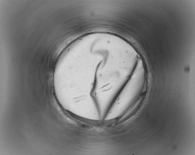 X0000110950993200907311037