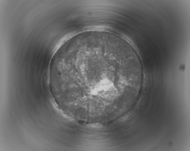 X0000110950994200907311037