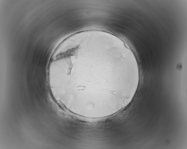 X0000110950996200907311037