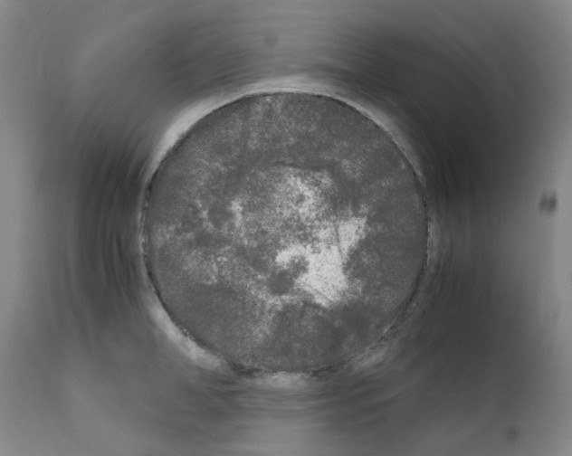 X0000110950998200907311037