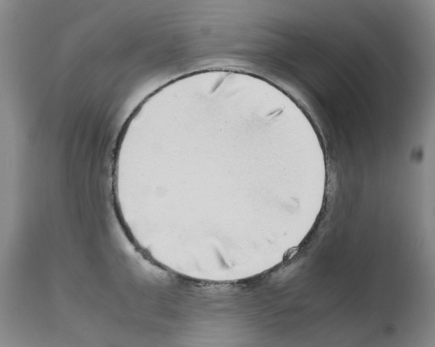 X0000110950999200907311037