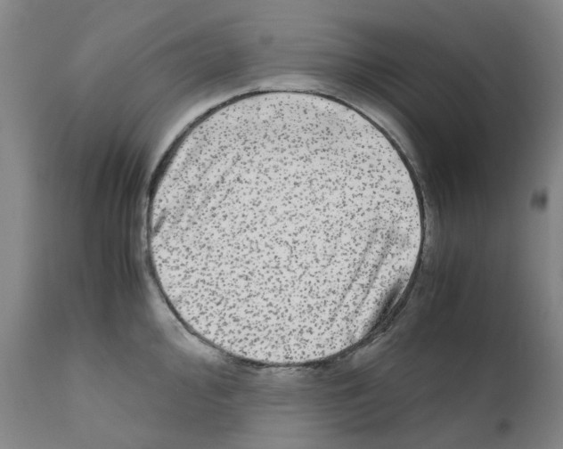 X0000110951000200907311037