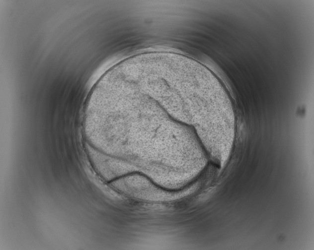 X0000110951002200907311036
