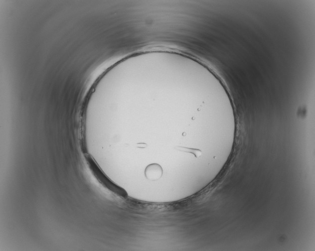 X0000110951003200907311036