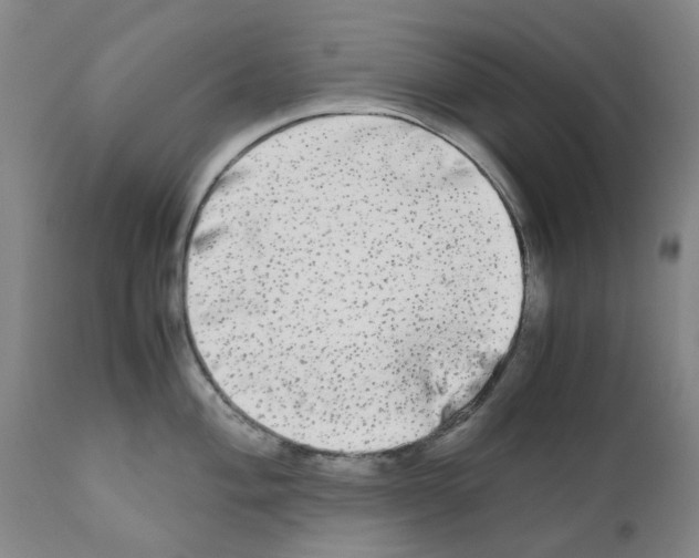 X0000110951004200907311036