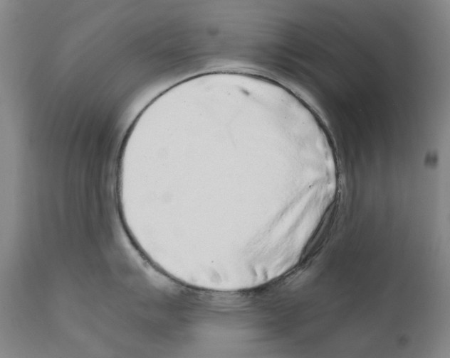 X0000110951007200907311036