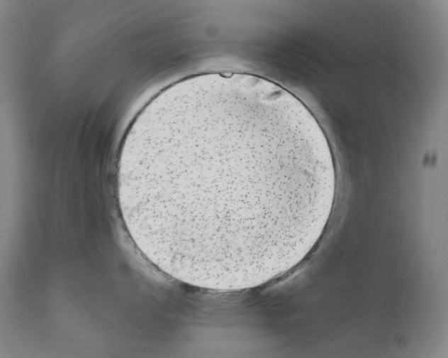 X0000110951008200907311036
