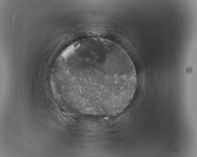 X0000110951009200907311036
