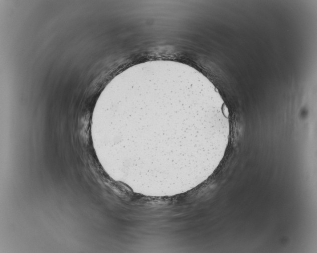 X0000110951010200907311036