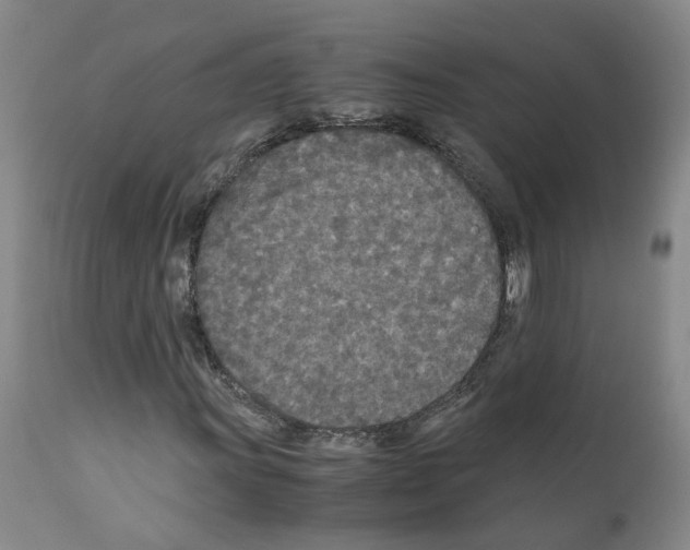 X0000110951011200907311036